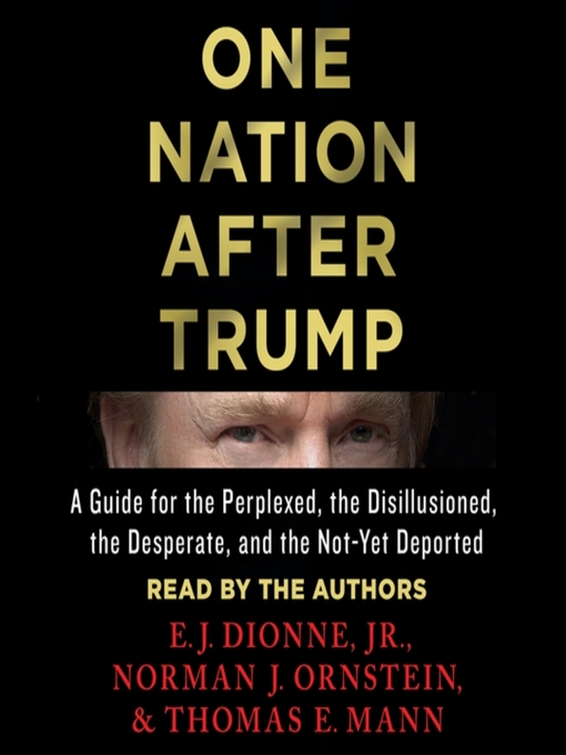 Title details for One Nation After Trump by E.J. Dionne, Jr. - Wait list